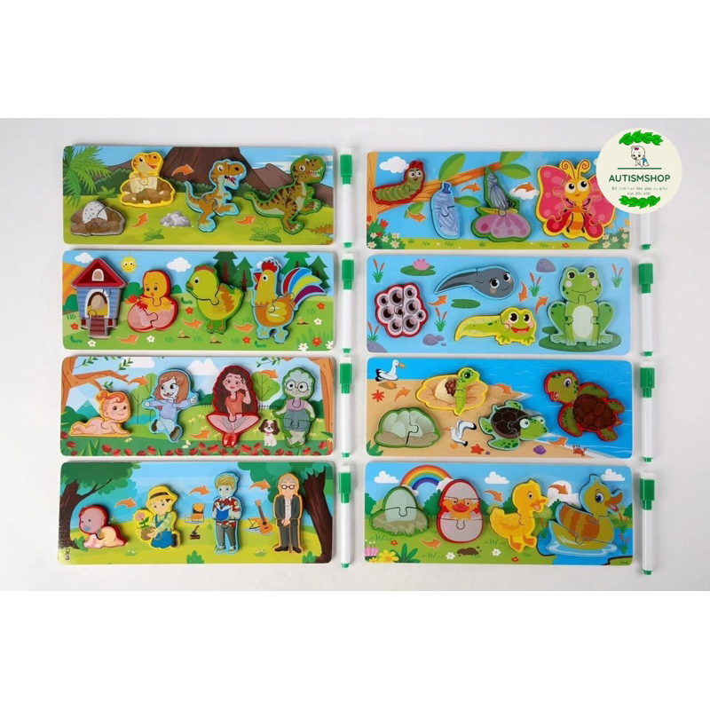 ❤️🍎Mô hình ghép vòng đời con vật Autismshop