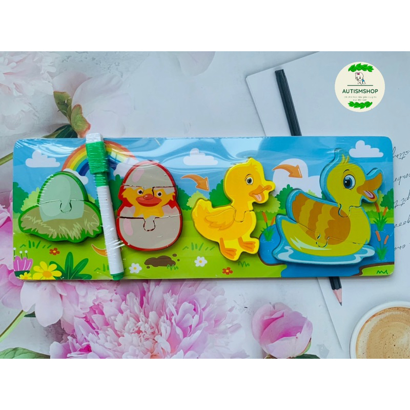 ❤️🍎Mô hình ghép vòng đời con vật Autismshop