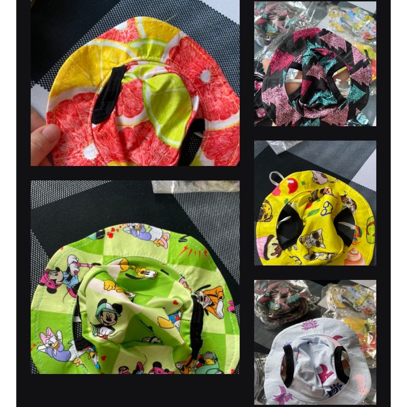 Nón cho chó mèo, Mũ bèo cho chó mèo, mũ sinh nhật