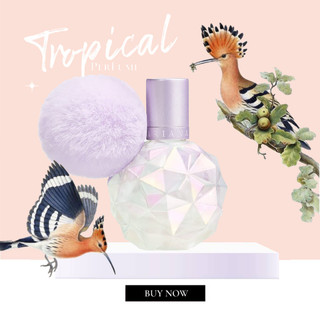 Nước hoa nữ moonlight by ariana grande edp 5ml/10ml/20ml