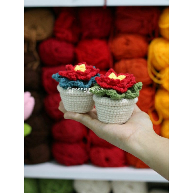 Chậu hoa trạng nguyên handmade • 𝐩𝐥𝐚𝐧𝐭𝐬 𝐩𝐨𝐢𝐧𝐬𝐞𝐭𝐭𝐢𝐚 𝐟𝐥𝐨𝐰𝐞𝐫 •