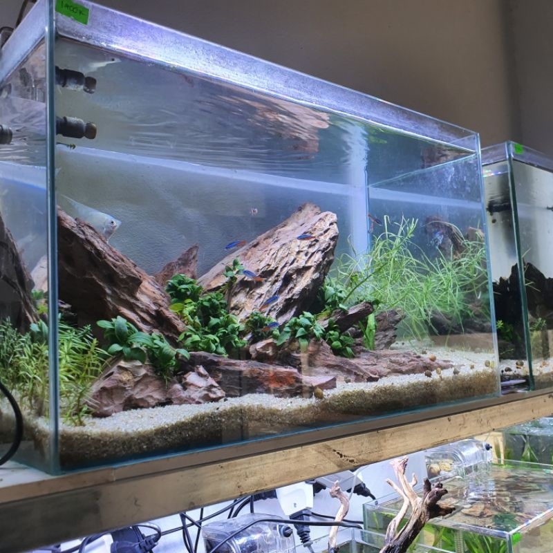 Bể cá siêu trong chữ nhật 40x25x28  CM - kính siêu trong siêu đẹp