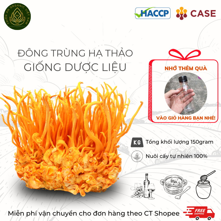Đông trùng hạ thảo sinh khối tươi dược liệu Hộp 150gram nuôi hữu cơ cải thiện sức khỏe
