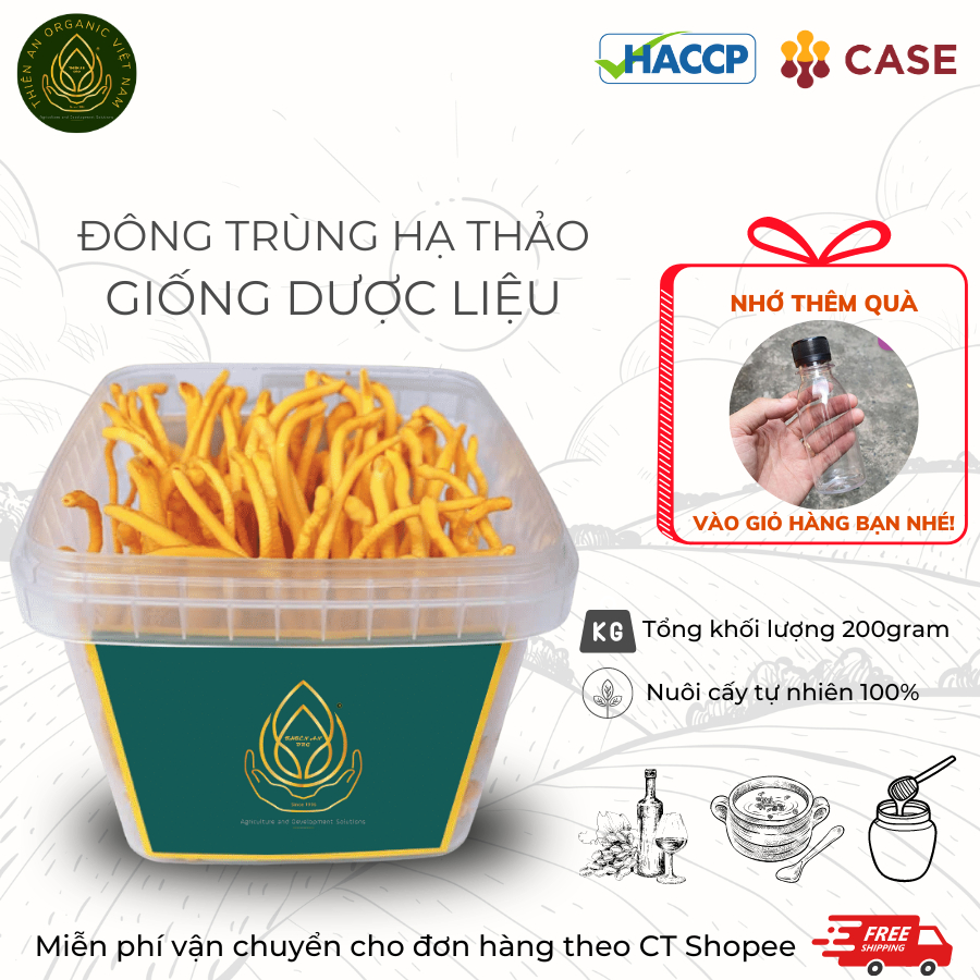 Đông trùng hạ thảo sinh khối tươi dược liệu Hộp 200gram nuôi hữu cơ cải thiện sức khỏe