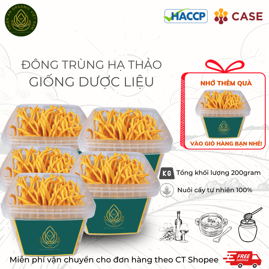 ĐÔNG TRÙNG HẠ THẢO SINH KHỐI TƯƠI HỘP 200GRAM NHẬN GIAO KHU VỰC MIỀN NAM