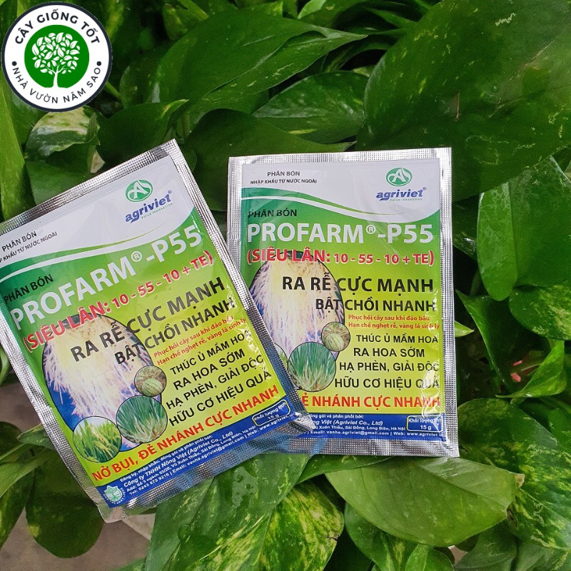 Phân bón PROFARM – P55 10-55-10 + TE tạo mầm hoa – ra hoa đồng loạt gói  25G