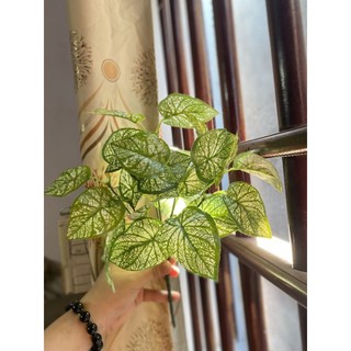 Cụm Lá bé mô phỏng thực vật giả , cụm dài 30cm , cây giả