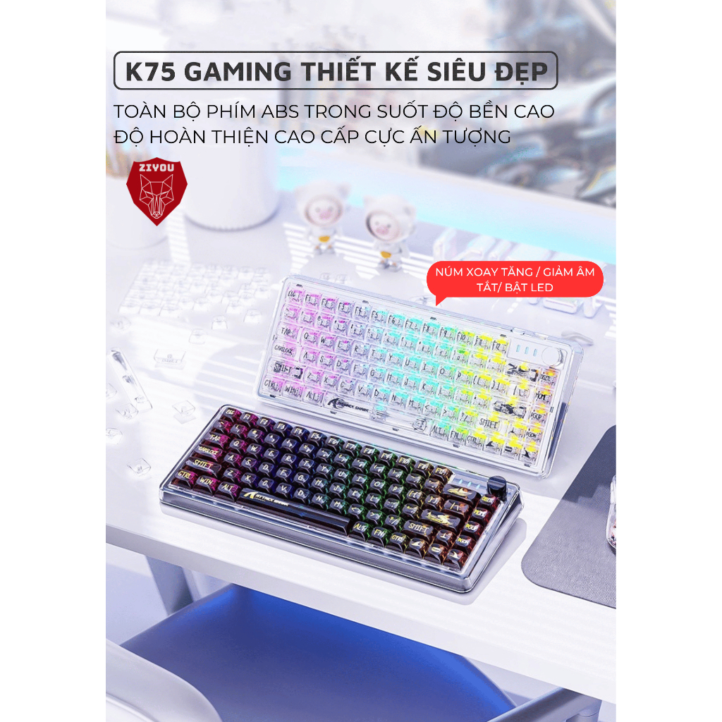 Bàn Phím Cơ Máy Tính Trong Suốt Gaming Ziyou K75 LED Pro RGB White Switch Có HOTSWAP