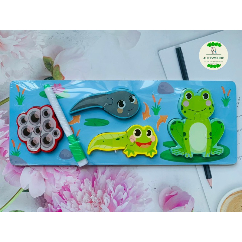 ❤️🍎Mô hình ghép vòng đời con vật Autismshop