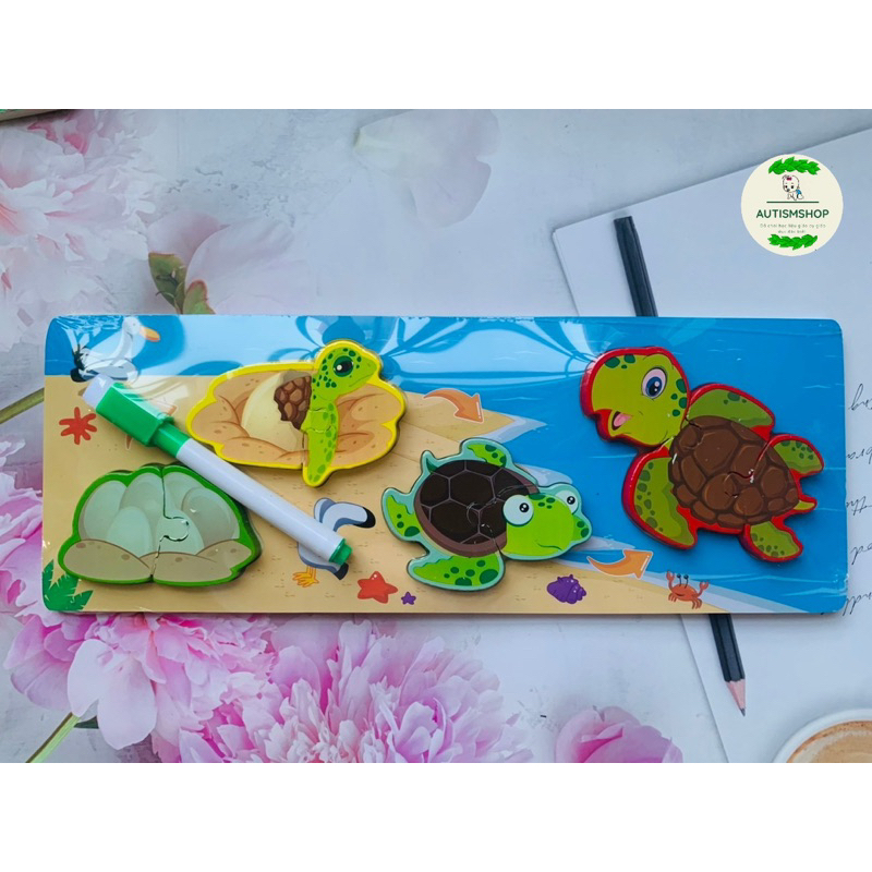 ❤️🍎Mô hình ghép vòng đời con vật Autismshop