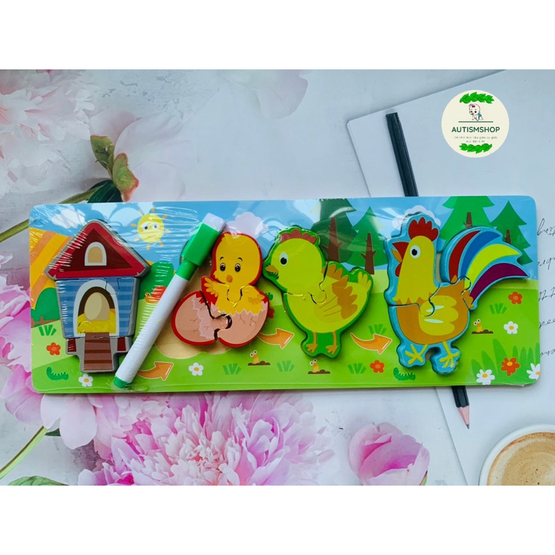 ❤️🍎Mô hình ghép vòng đời con vật Autismshop