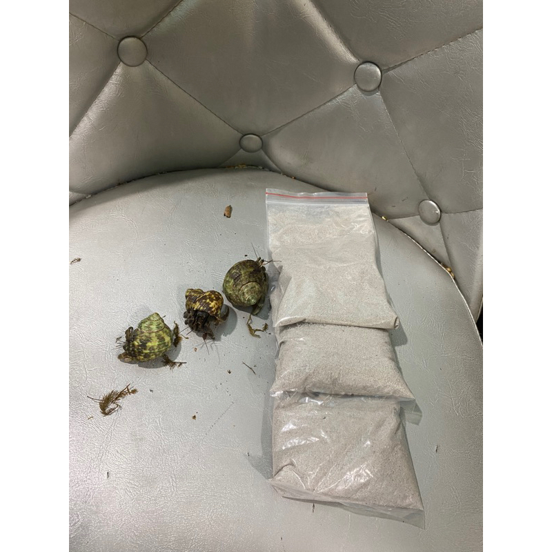 Combo 3 rugos + 1kg cát