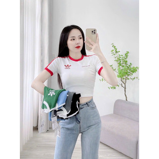 Áo thun zip crotop in viền
