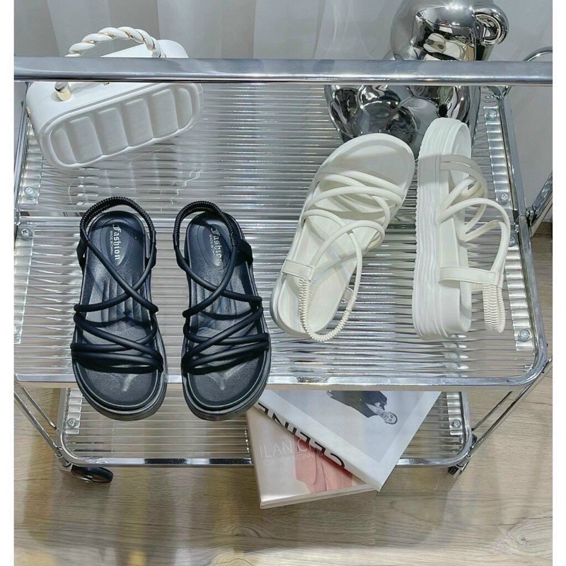 Sanldan dây new fullbox