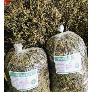 Cây sài đất khô lá bé dùng để tắm, đun nước uống giúp giảm rôm sẩy, mẩn ngứa hiệu quả túi 1kg