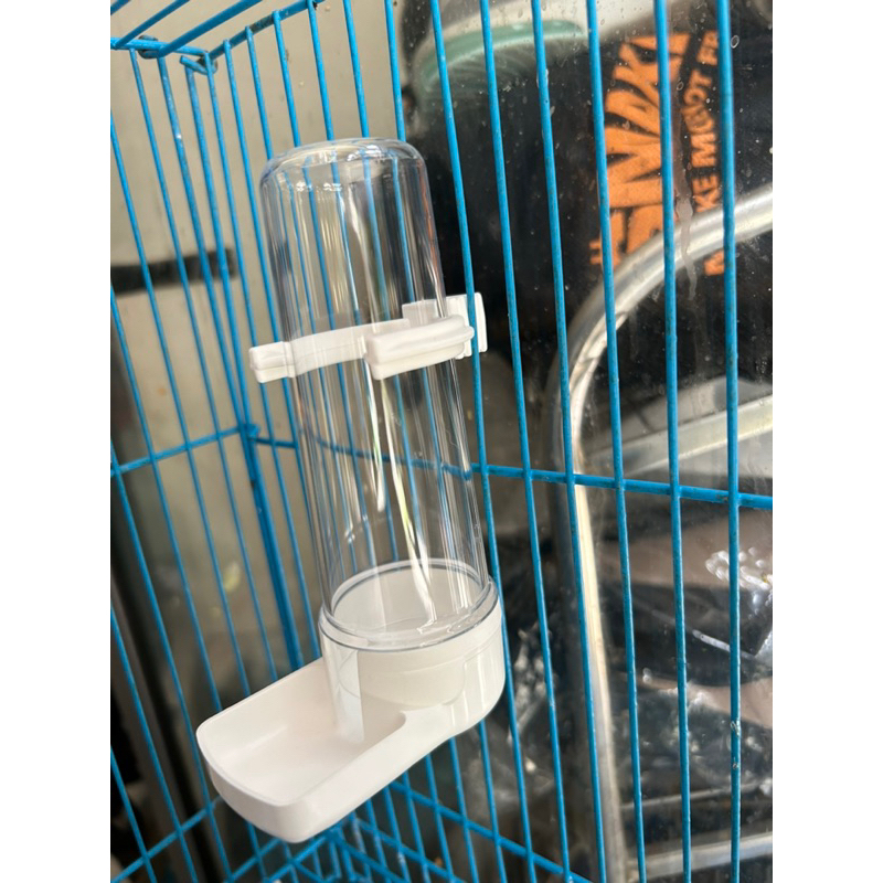 Bình nước cho chim nhiều size hàng Thái/ Ý