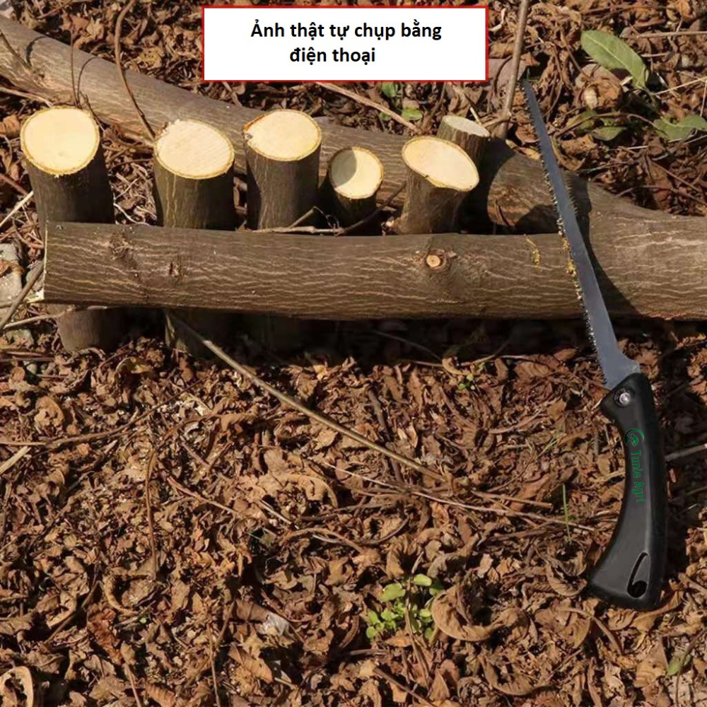 Cưa gỗ mini cầm tay cắt lách số 1 nhật bản chuyên cắt cây mai cây cảnh bonsai