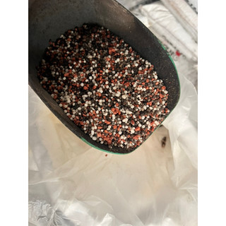 Phân NPK 20-20-15 + TE đầu trâu