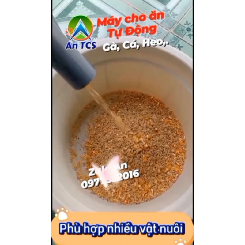 Máy V6 Cho Gà Chim Cá Ăn Tự Động An TCS