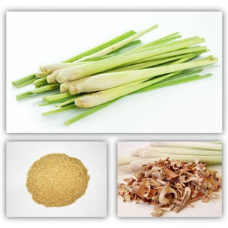 Bột Sả Nguyên Chất 100g