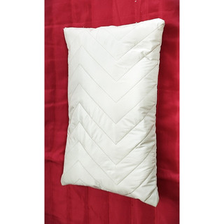 Túi ngủ du lịch cao cấp .