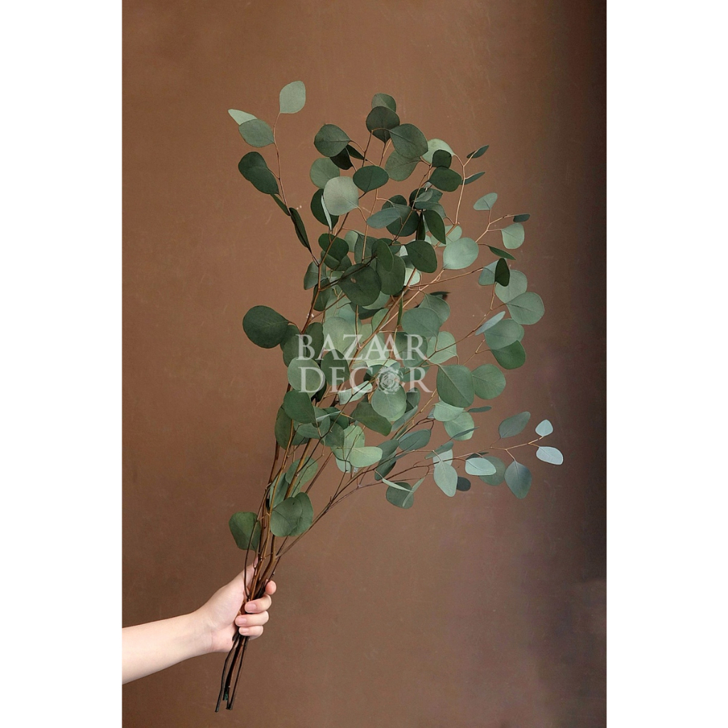 Lá táo tròn sấy khô loại đẹp nguyên cành không vụn | Hoa lá khô Eucalyptus | Xanh