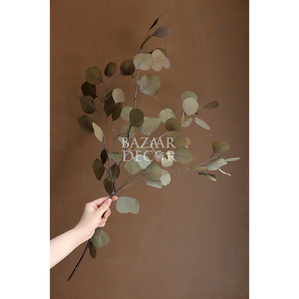 Lá táo tròn sấy khô loại đẹp nguyên cành không vụn | Hoa lá khô Eucalyptus | Xanh
