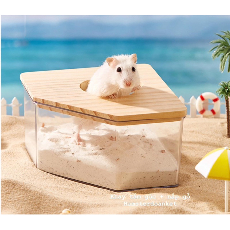 KHAY TẮM GÓC KÈM NẮP GỖ, NHÀ TẮM HAMSTER, HAMSTER TẮM CÁT