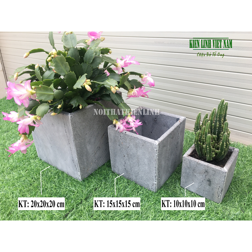 Combo 3 chậu trồng cây KT 20x20, 15x15, 10x10 (tặng kèm) ban công bằng đá ong xám tự nhiên bền đẹp