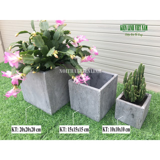 Combo 3 chậu trồng cây KT 20x20, 15x15, 10x10 (tặng kèm) ban công bằng đá ong xám tự nhiên bền đẹp