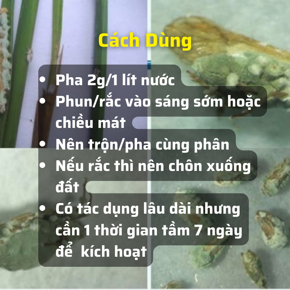 200g Nấm 3 Màu Bảo Vệ Cây Khỏi Côn Trùng Gây Hại Có Tác Dụng Lâu Dài Chính Hãng Thủy Kim Sinh
