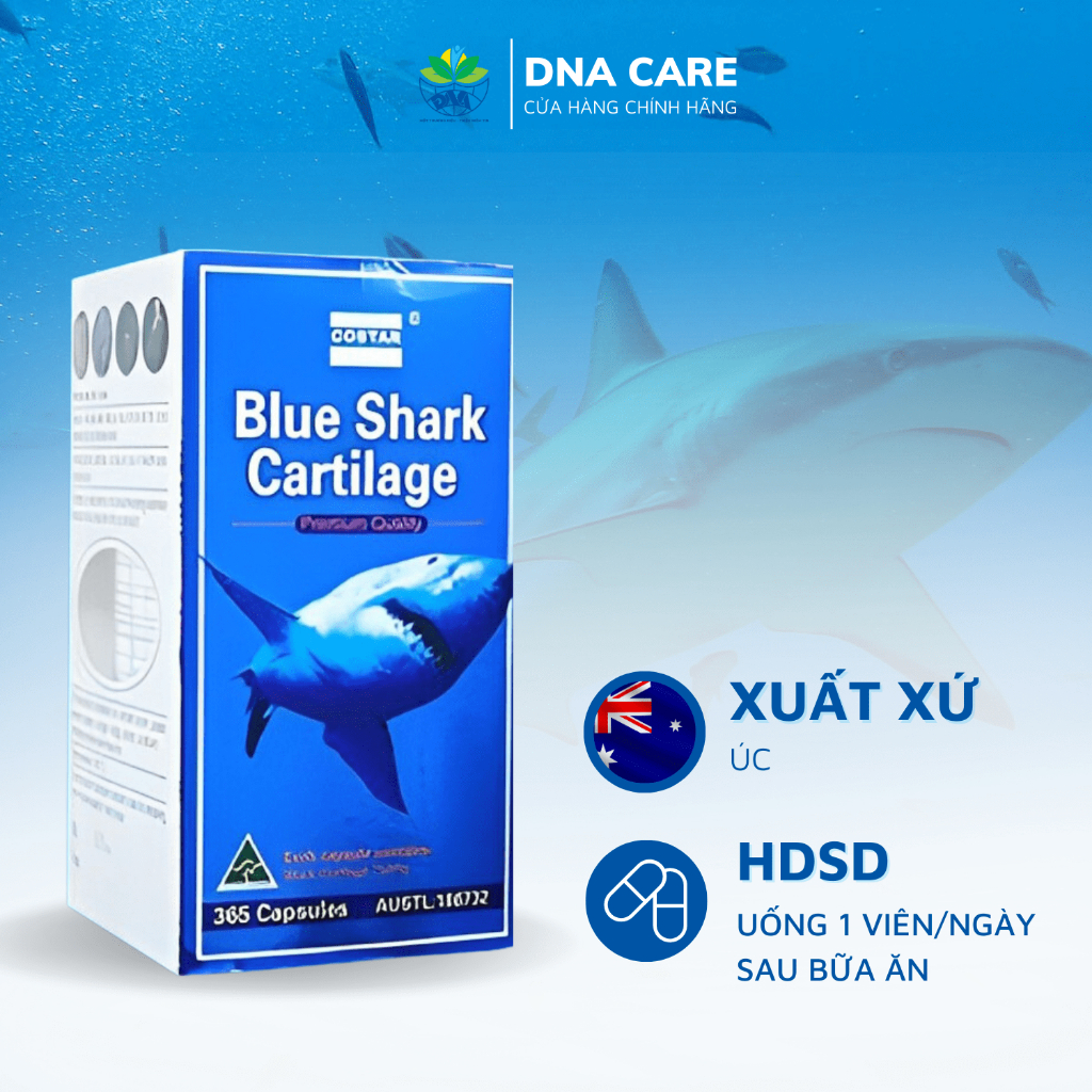 Viên uống xương khớp sụn cá mập Shark Cartilage Costar hỗ trợ tạo chất nhờn cho khớp hộp 30/120/365 viên