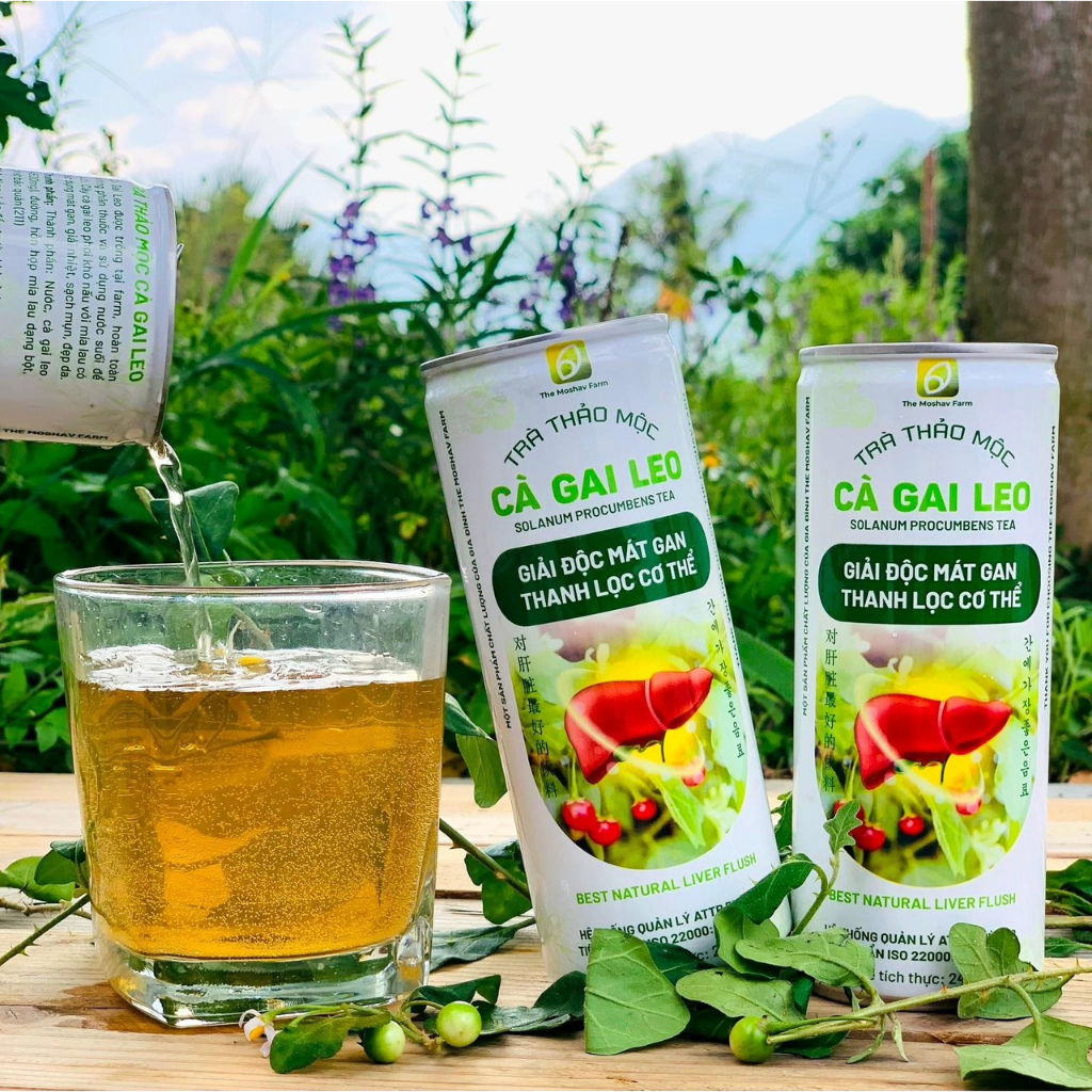 Trà thảo mộc cà gai leo The Moshav Farm giải độc mát gan thanh lọc cơ thể Lock 6 lon - Nông Phẩm Sạch