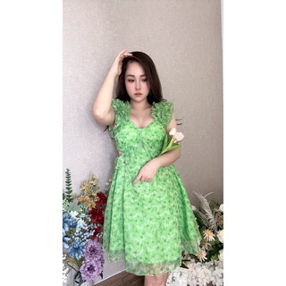 Đầm nữ thiết kế dáng A