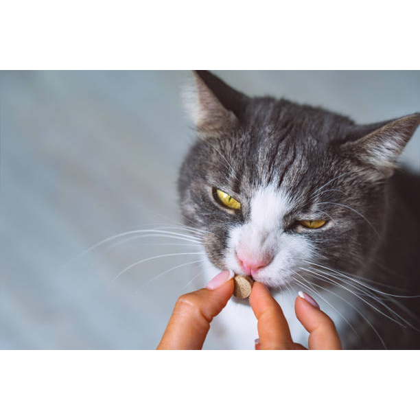 Viên sữa Đức Gimcat cho mèo Milk Bits GimCat bánh thưởng viên sữa thơm ngon cho Mèo nhập Đức