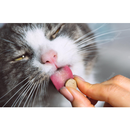 Viên sữa Đức Gimcat cho mèo Milk Bits GimCat bánh thưởng viên sữa thơm ngon cho Mèo nhập Đức
