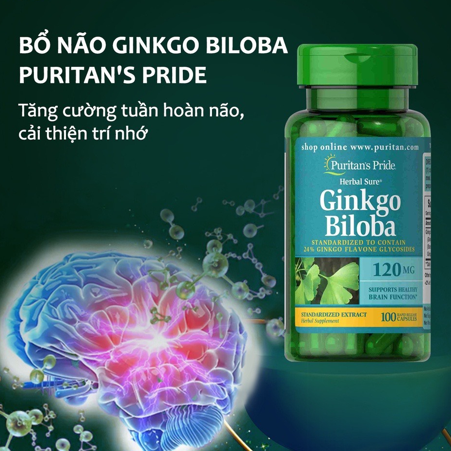 Viên Uống Hỗ Trợ Tuần Hoàn Não Bộ Puritans pride Ginkgo Biloba 120mg 100 Viên