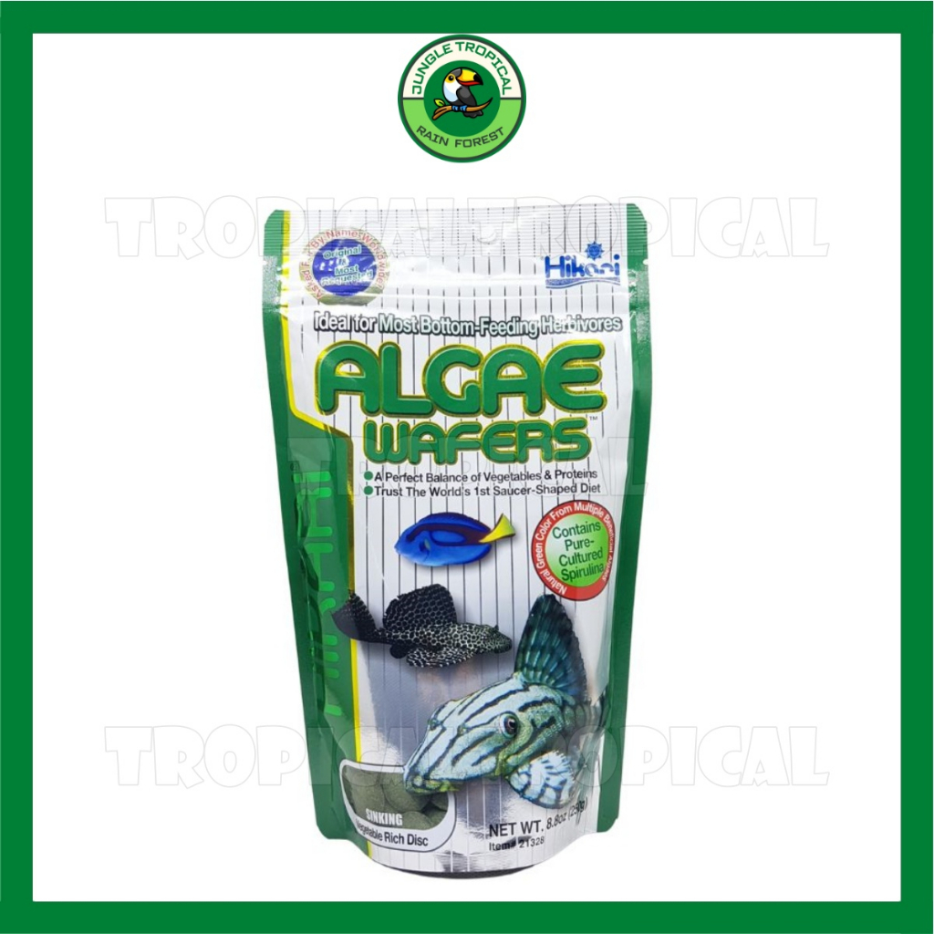 Thức Ăn Pleco Hikari ALGAE WAFERS - Cám cá pleco cao cấp - cá chuột - cá tầng đáy