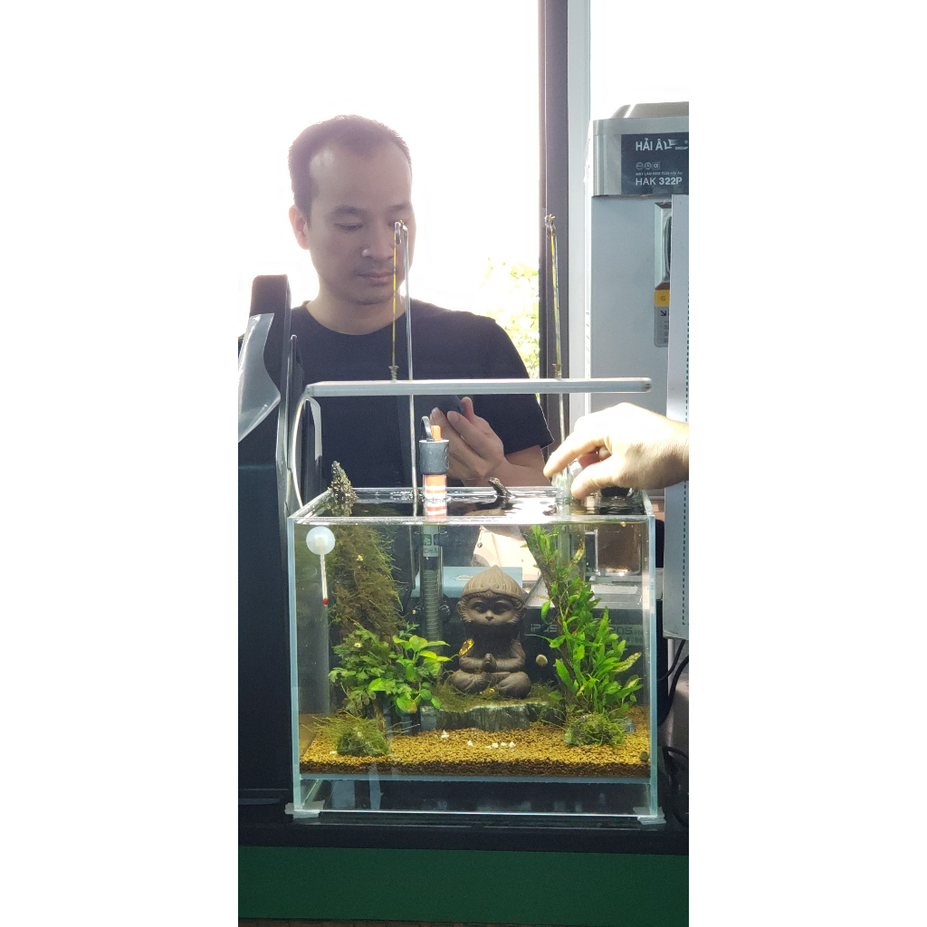 Chế phẩm sinh học MIC.KOI cho cá cảnh, cá koi