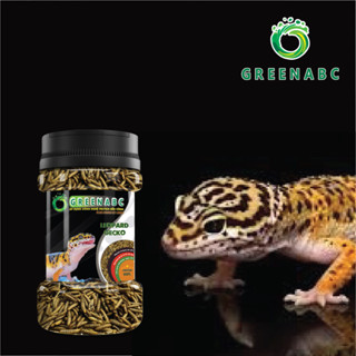 THỨC ĂN CHO BÒ SÁT: THẰN LẰN DA BÁO (Leopard Gecko)