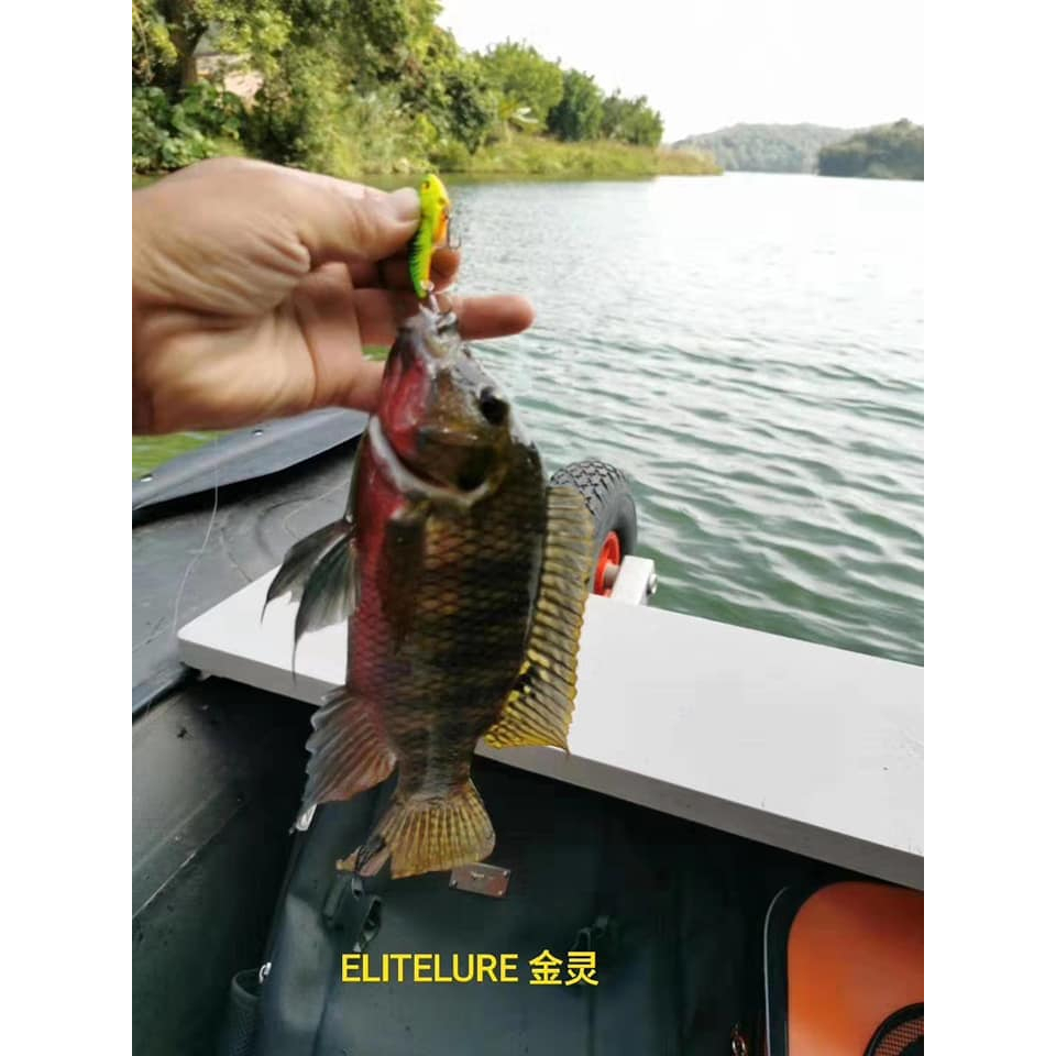 Mồi câu cá lóc - Cá sắt Elite Lure Linx Blade combo 3 con 1 hôp - HitaFishing