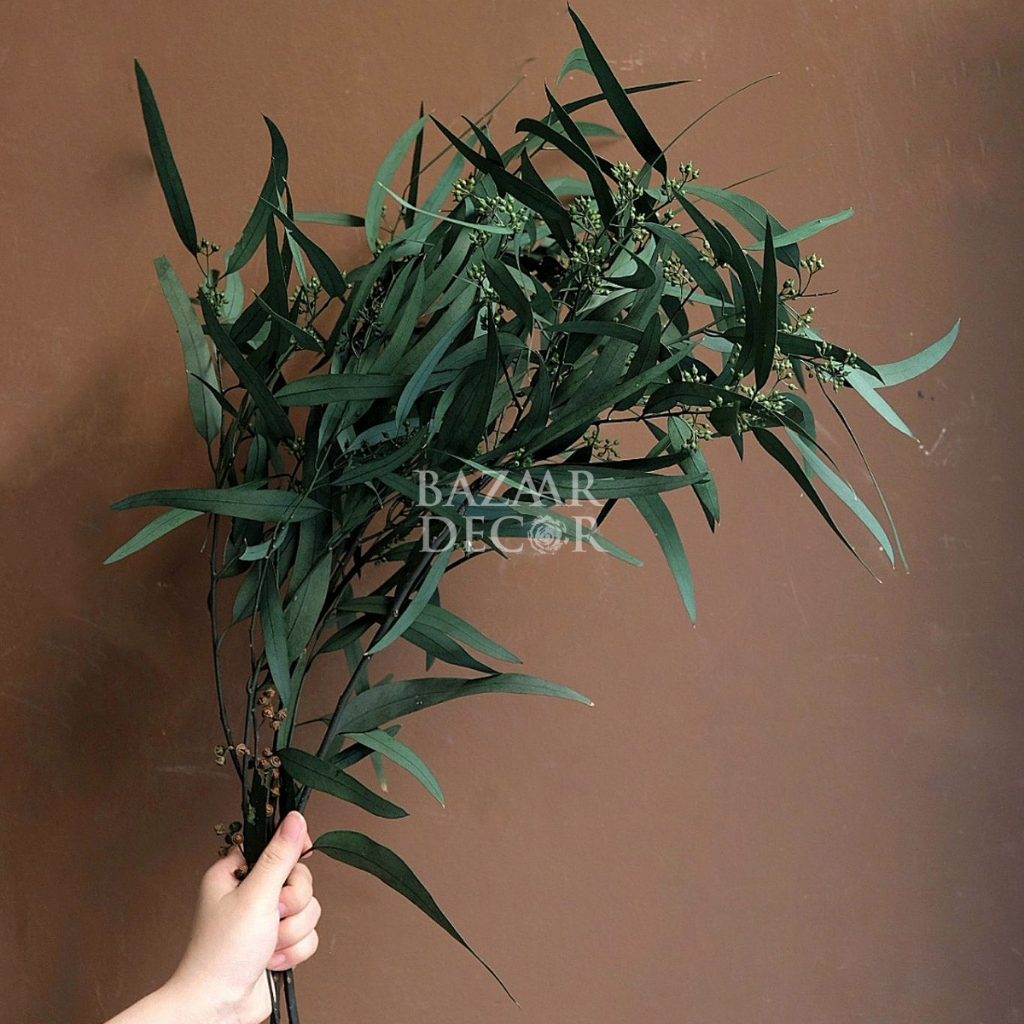 Cành lá bạch đàn sấy khô nguyên cành 60cm màu xanh | Hoa khô Eucalyptus
