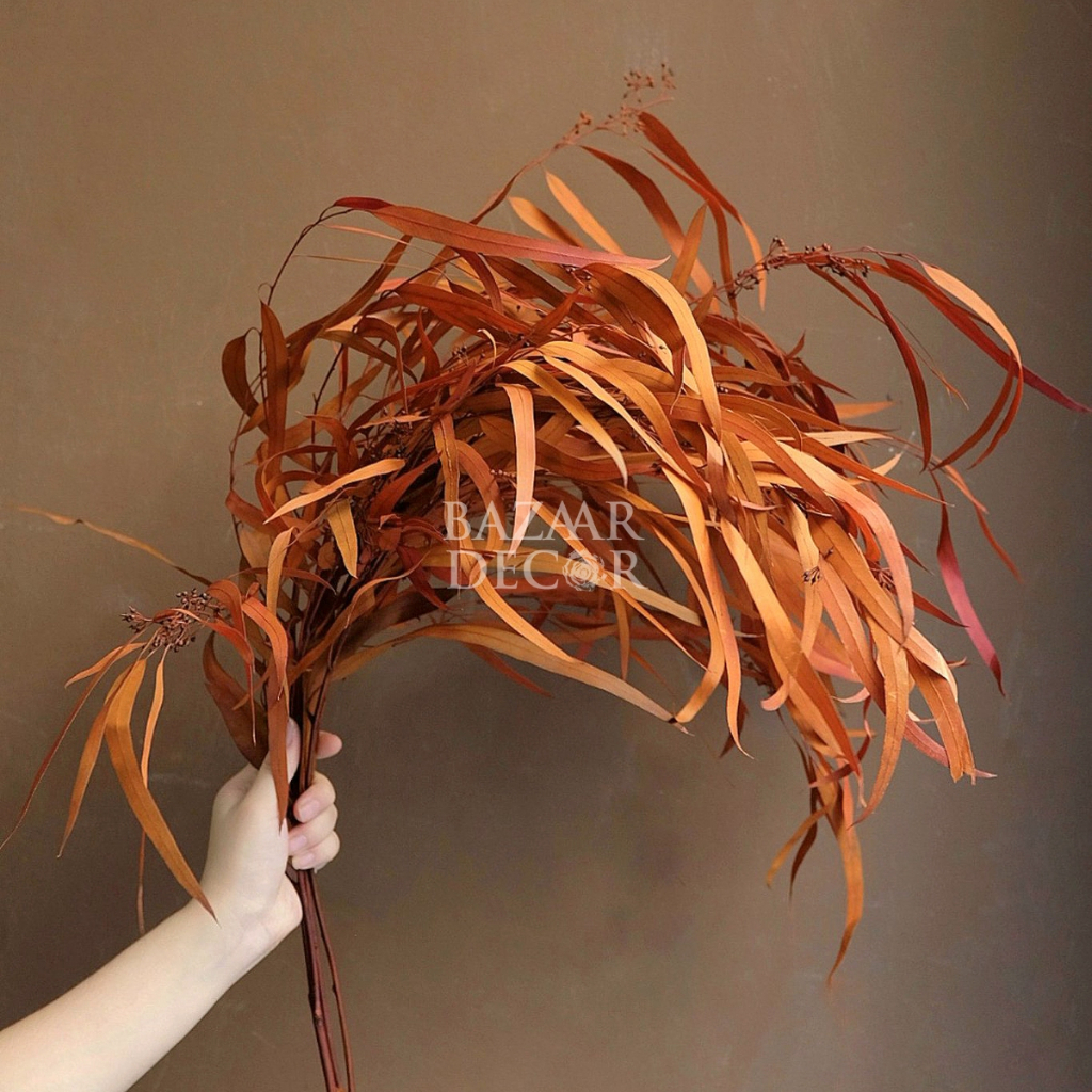 Cành lá bạch đàn sấy khô nguyên cành 60cm màu đỏ , cam , nâu | Hoa khô Eucalyptus