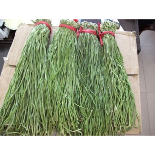 500g rau tiến vua