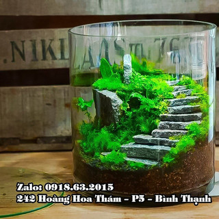 Bình bông thủy tinh trang trí D20xH20, Bình cắm hoa thủy tinh trụ, lọ hoa hình trụ, trụ đổ đèn cầy, ống trụ tròn