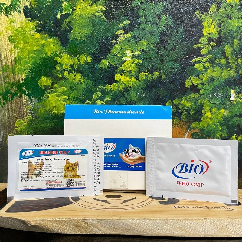 Bio-Scour WSP kiểm soát ói mửa tiêu chảy chó mèo