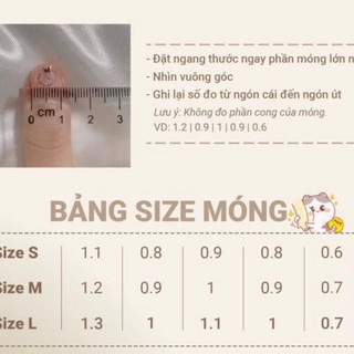 Nailbox thiết kế rắn , móng giả cá tính