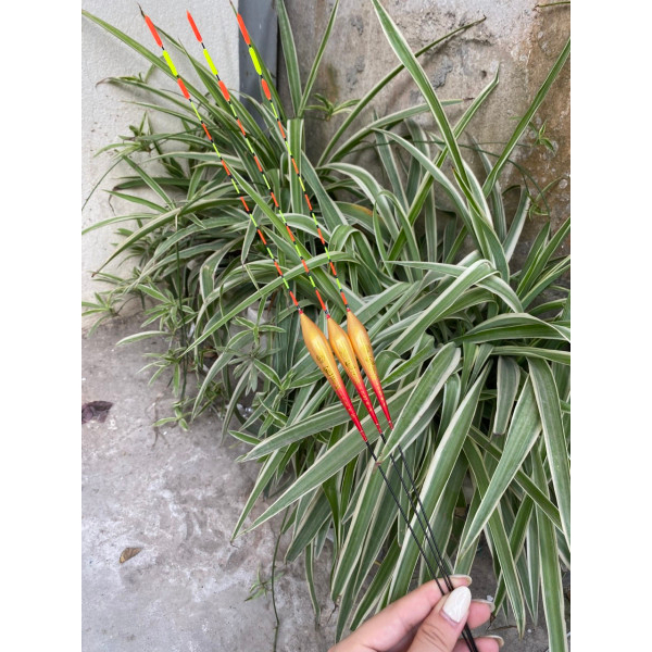 Phao câu đài mỹ nhân ngư- G07 chính hãng