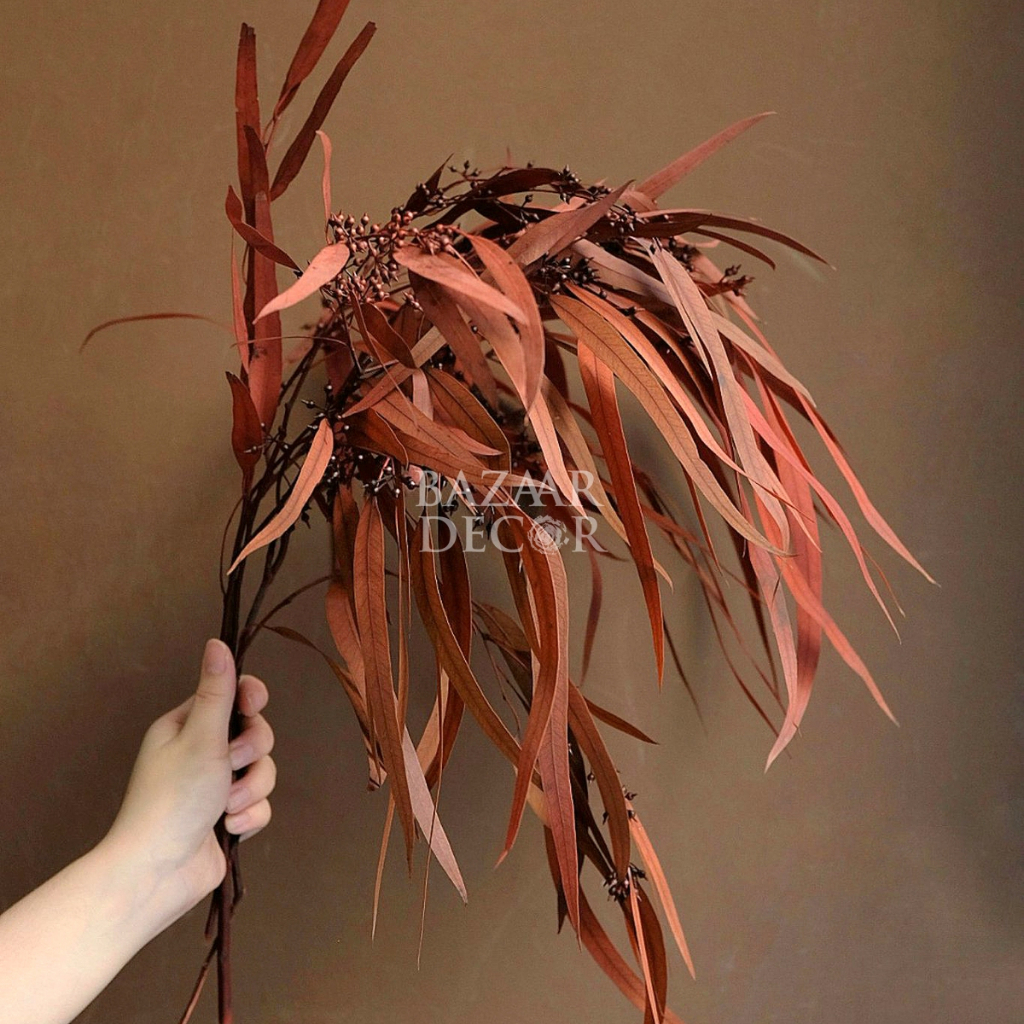 Cành lá bạch đàn sấy khô nguyên cành 60cm màu đỏ , cam , nâu | Hoa khô Eucalyptus