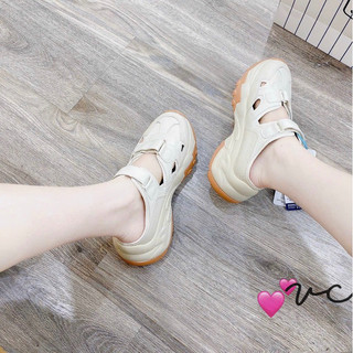 sục thể thao NA NY